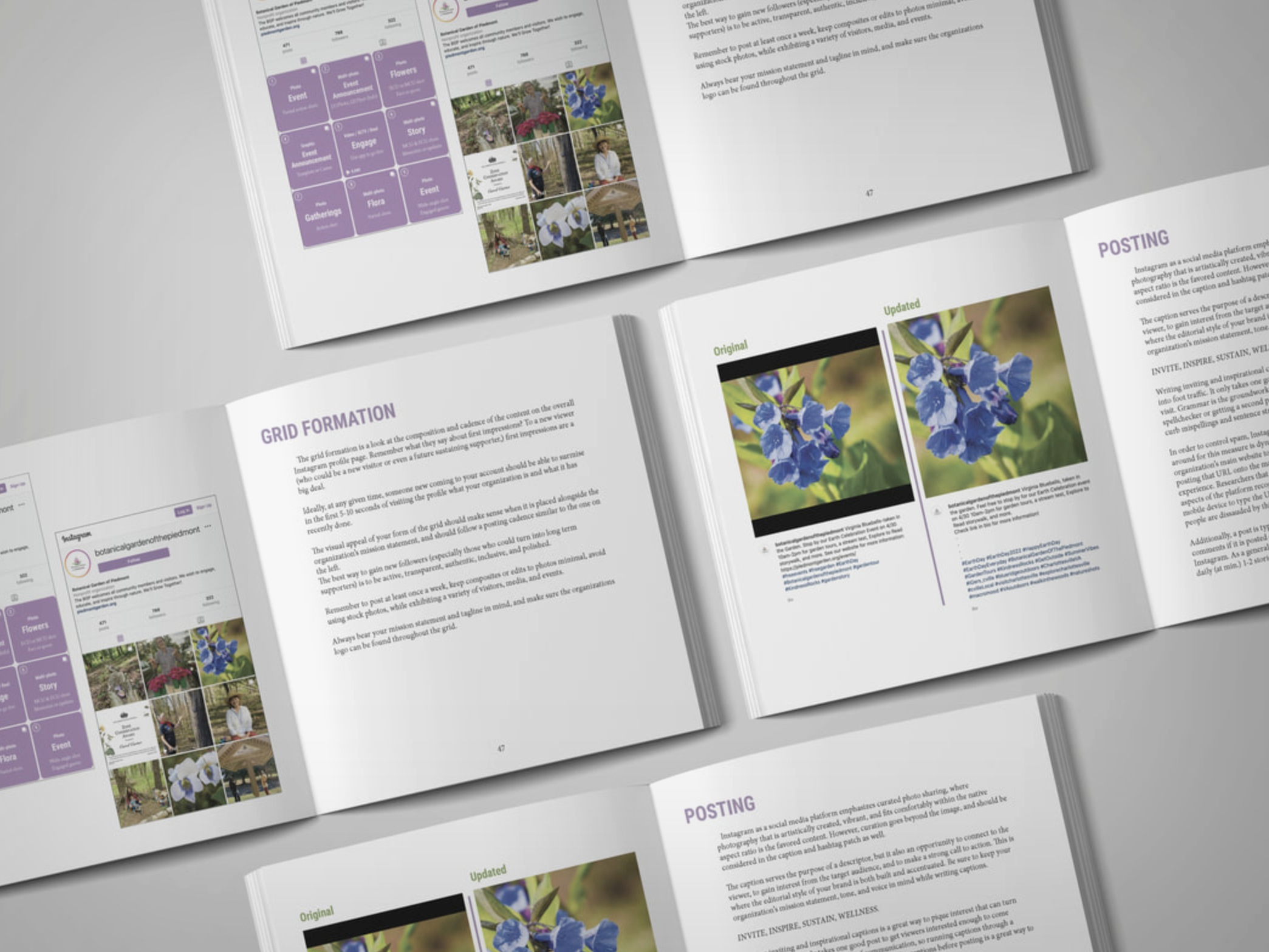 Botanical Garden of the Piedmont: Brand Style & Social Marketing Guidebook