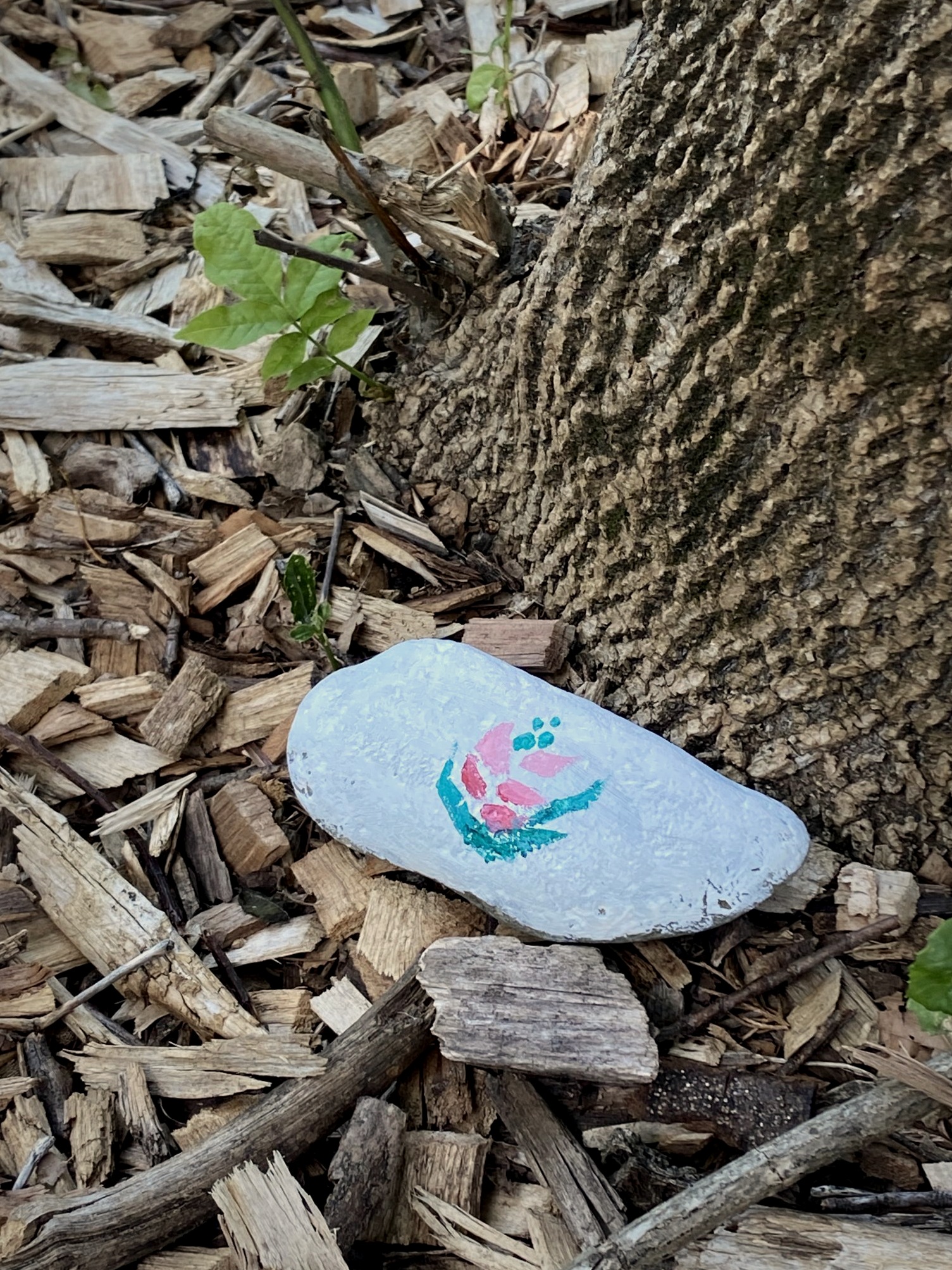 Botanical Garden of the Piedmont — BGP logo painted on a garden rock