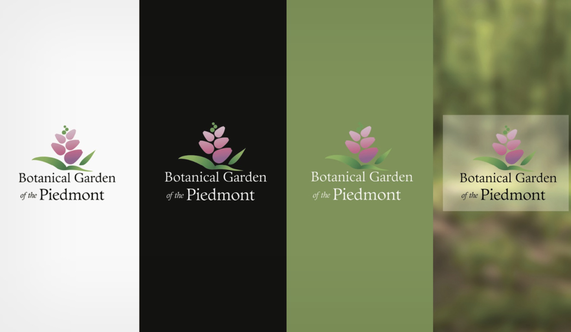 BGP logo lockups across four backgrounds