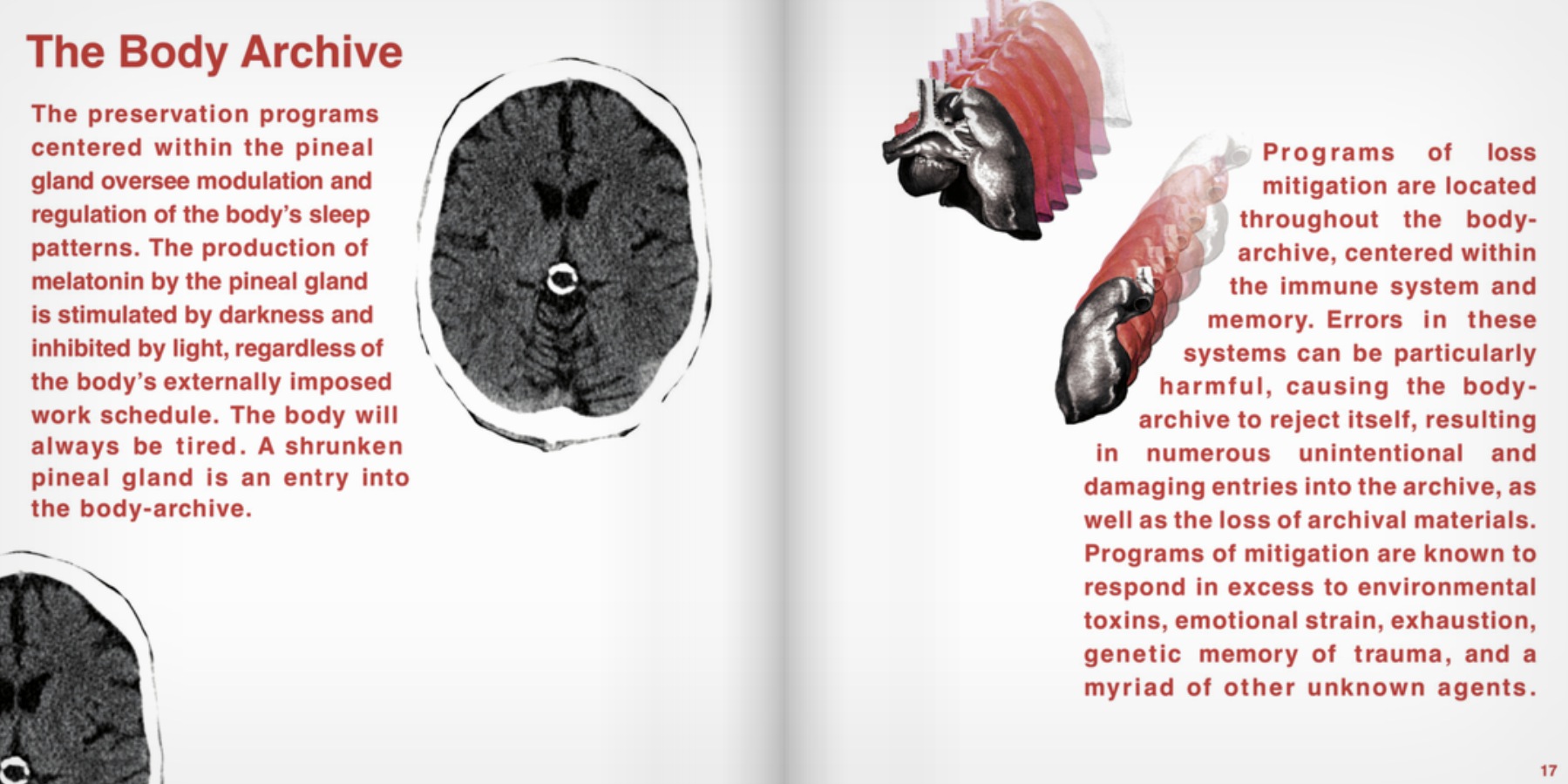 Field Guide spread — The Body Archive, p.17